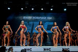 BIKINI НОВИЧКИ 164